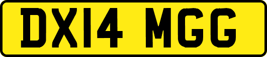 DX14MGG