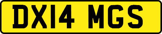 DX14MGS