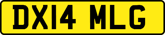 DX14MLG