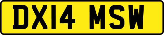 DX14MSW