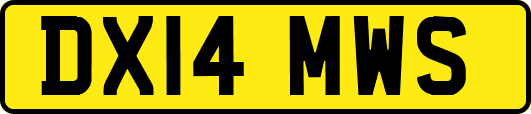DX14MWS