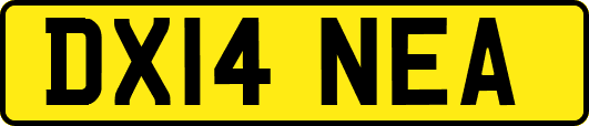 DX14NEA
