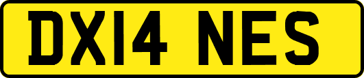 DX14NES