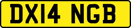 DX14NGB
