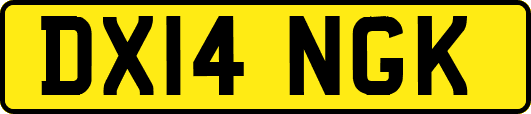 DX14NGK