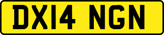DX14NGN