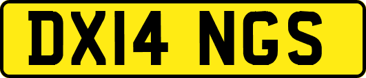 DX14NGS