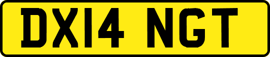 DX14NGT