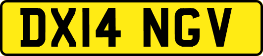 DX14NGV