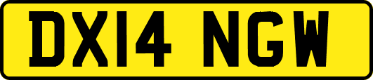 DX14NGW