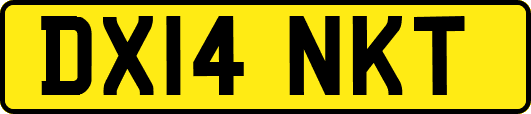 DX14NKT