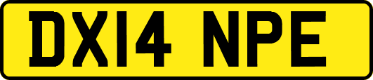 DX14NPE