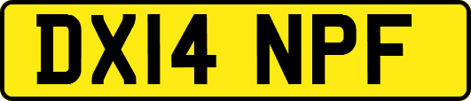 DX14NPF
