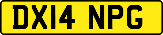 DX14NPG