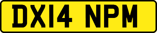 DX14NPM