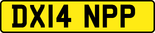DX14NPP