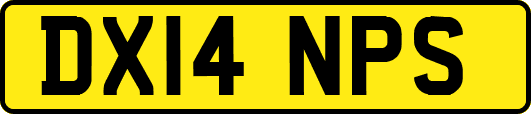 DX14NPS