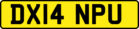 DX14NPU