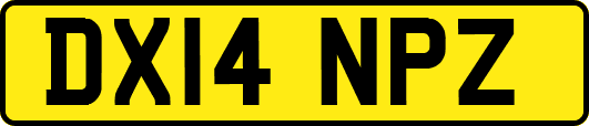 DX14NPZ