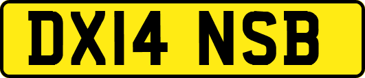 DX14NSB