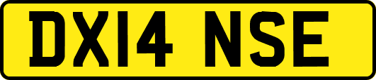 DX14NSE