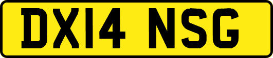 DX14NSG
