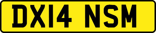 DX14NSM