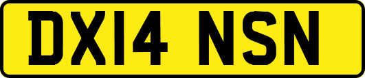 DX14NSN
