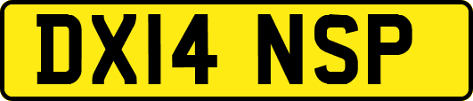 DX14NSP
