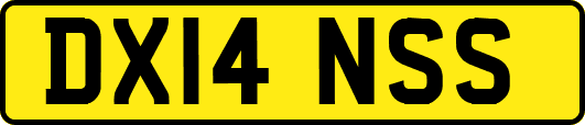 DX14NSS