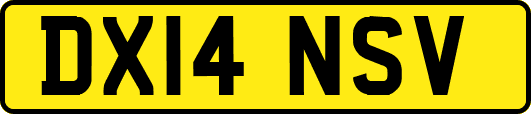 DX14NSV