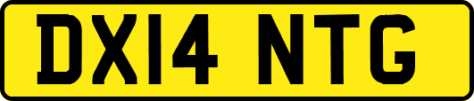 DX14NTG