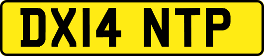 DX14NTP