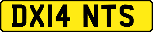 DX14NTS
