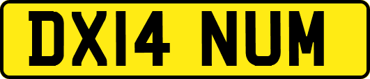 DX14NUM