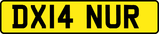 DX14NUR