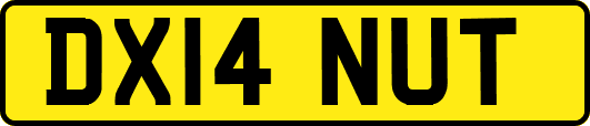 DX14NUT