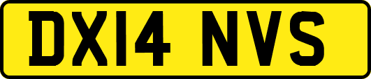 DX14NVS
