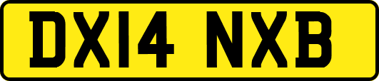 DX14NXB