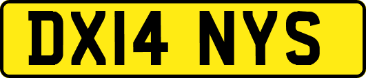 DX14NYS