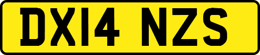 DX14NZS