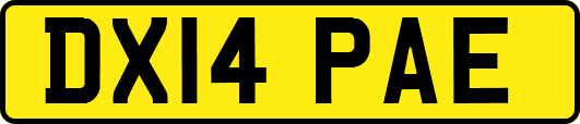 DX14PAE