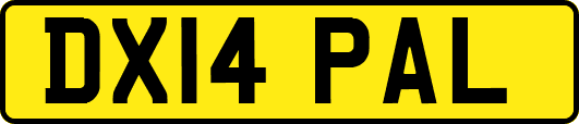 DX14PAL