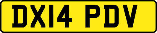 DX14PDV