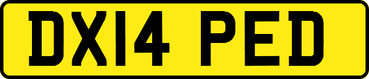DX14PED