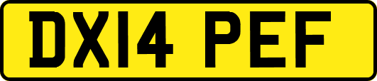 DX14PEF