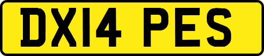 DX14PES