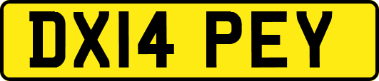 DX14PEY