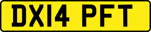 DX14PFT