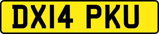DX14PKU